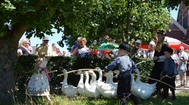 Ganzenmarkt (zondag  1 juli 2018)